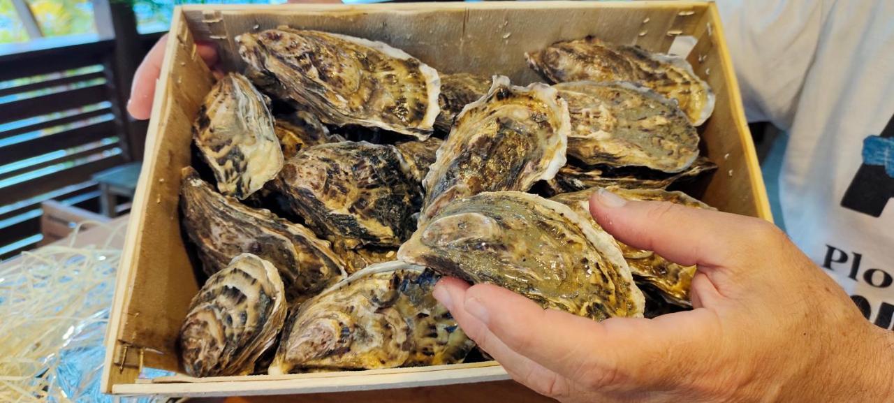 Le Grand Bleu Hotel Wok Tum Eksteriør bilde